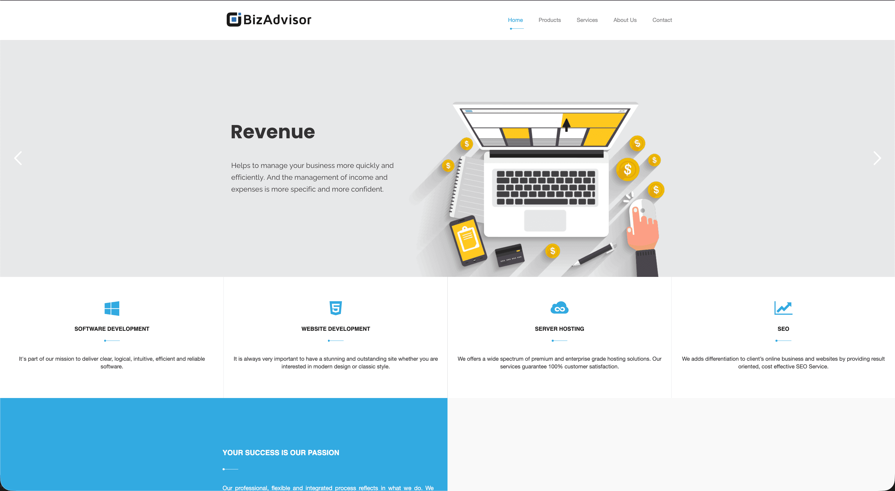 project-BizAdvisor Website